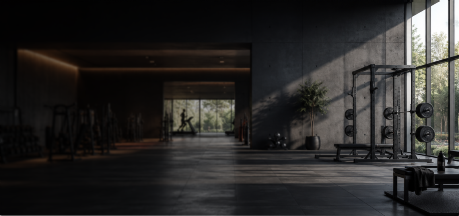 Commercial Outdoor and Indoor Gym Equipments